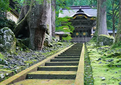 Fukui